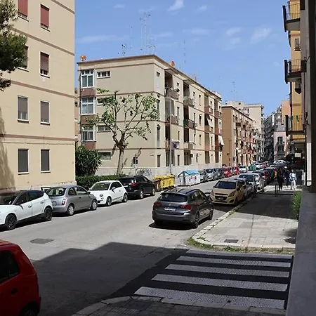 Alex's House باري